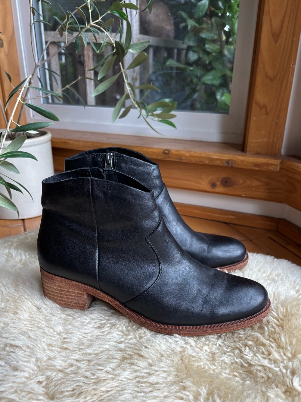 Minimalist Leather Ankle Boots